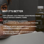 DAILY GREEN JUICE PACKAGE