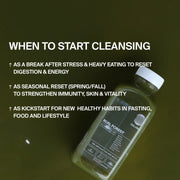 GREEN JUICE CLEANSE — 3 DAYS