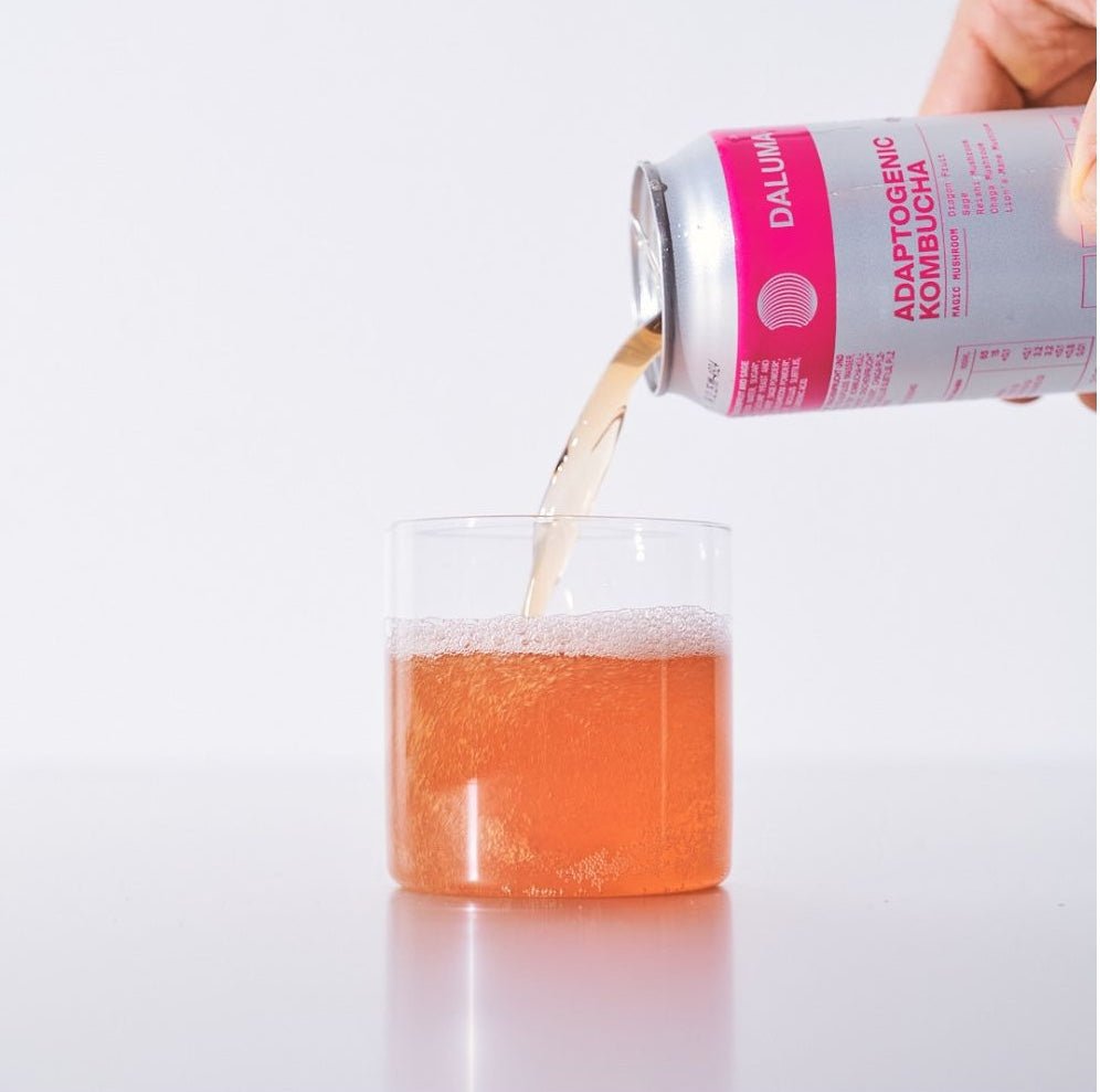 DAILY KOMBUCHA BOOSTER PACKAGE