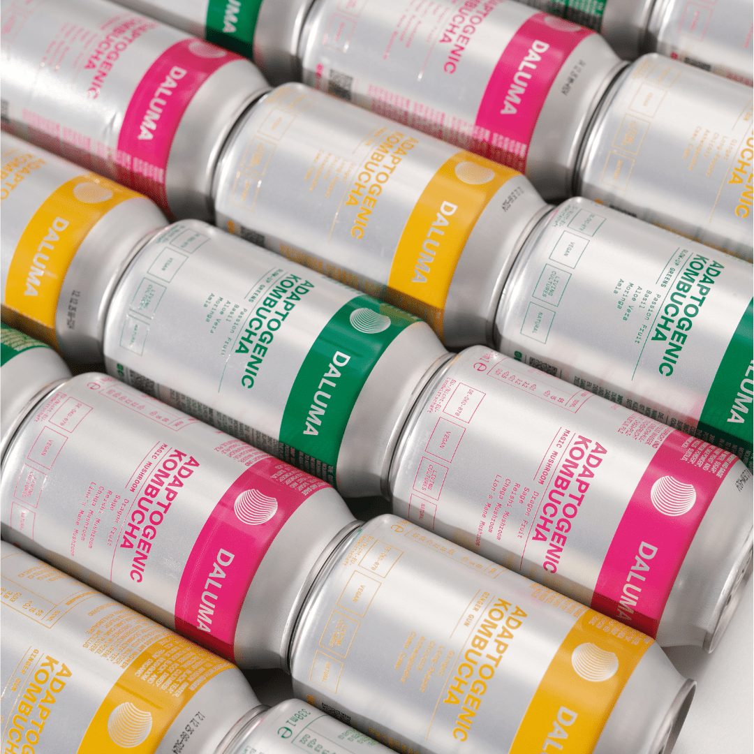 DAILY KOMBUCHA BOOSTER PACKAGE