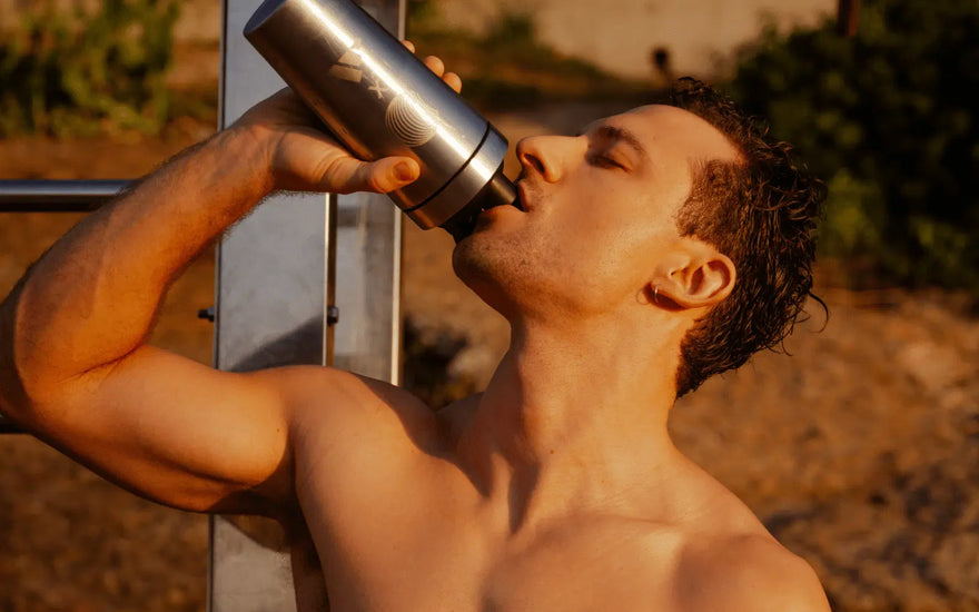 PROTEIN & LONGEVITY