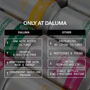 DAILY KOMBUCHA BOOSTER PACKAGE