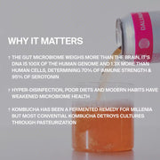 DAILY KOMBUCHA BOOSTER PACKAGE