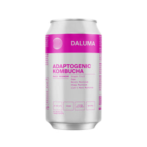 Eine silberne Dose DALUMA MAGIC MUSHROOM DRACHENFRUCHT KOMBUCHA mit rosa Etikett hebt Drachenfrucht, Salbei, Reishi, Chaga und Löwenmähne hervor. Dieses vegane Getränk enthält natürliche probiotische Kulturen und Adaptogene.