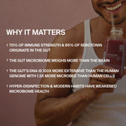 BETTER GUT JUICE CLEANSE — 3 DAYS