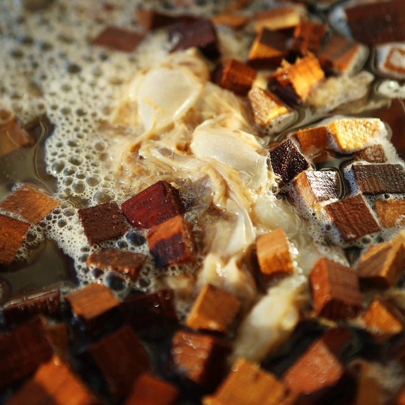 Nahaufnahme von kleinen, braunen Holzspänen und durchscheinenden Fasern in sprudelnder Flüssigkeit, die möglicherweise mit den probiotischen Kulturen im DAILY KOMBUCHA BOOSTER PACKAGE von DALUMA zur Unterstützung eines gesunden Darmmikrobioms fermentiert werden.