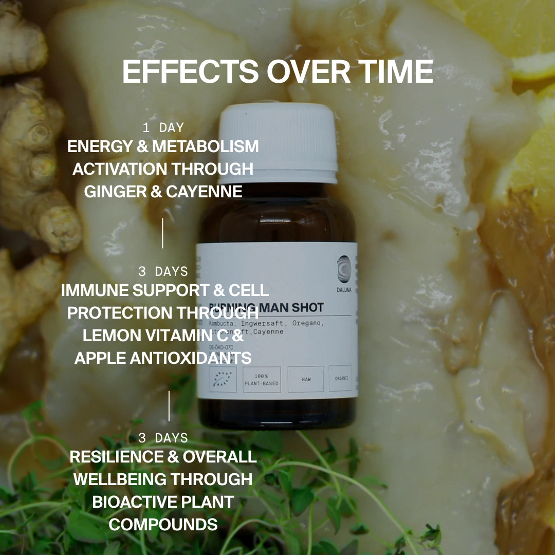 Eine DALUMA BURNING MAN INGWERSHOT 24 PACK Flasche ruht auf Ingwer und Zitrusscheiben. Text oben: Nach 1 Tag Energie- und Stoffwechselschub; nach 3 Tagen Unterstützung des Immunsystems durch kaltgepresste Pflanzenstoffe. Bio-zertifiziert.