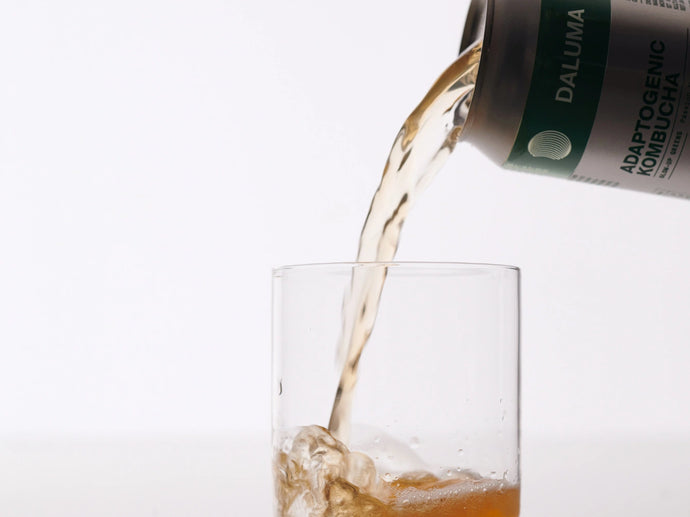 Eine Dose mit der Aufschrift Adaptogenic Kombucha wird in ein klares Glas gegossen, in dem die Flüssigkeit vor einem weißen Hintergrund spritzt.