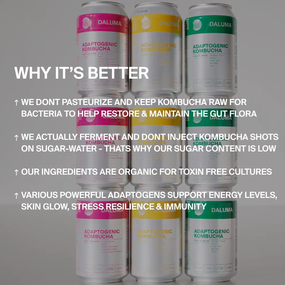 Vier farbenfrohe Dosen aus dem DALUMA RAW KOMBUCHA DISCOVERY SET sind abgebildet. Der Text hebt rohen, unpasteurisierten Kombucha, biologische Kulturen, zuckerfreies Wasser, probiotische Kulturen und Adaptogene für Darmgesundheit, Stress und Immunität hervor.
