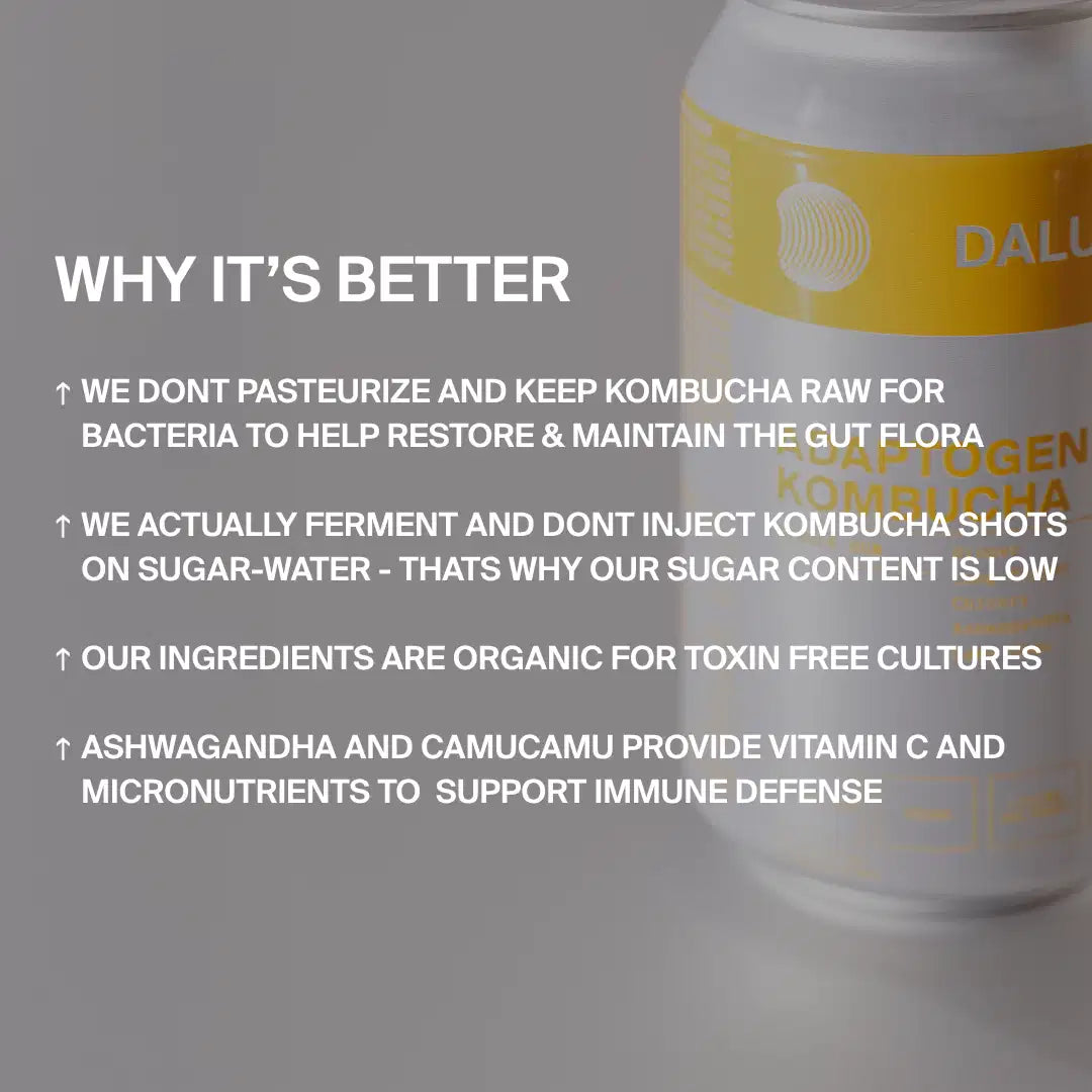 Ein beschnittenes Bild von DALUMA GINGER GUN INGWER KOMBUCHA Dose, mit Text: Bio, natürlich fermentiert, unpasteurisiert, wenig Zucker, hält probiotische Kulturen für die Gesundheit des Darms, plus Ashwagandha & Camu Camu für die Unterstützung des Immunsystems.