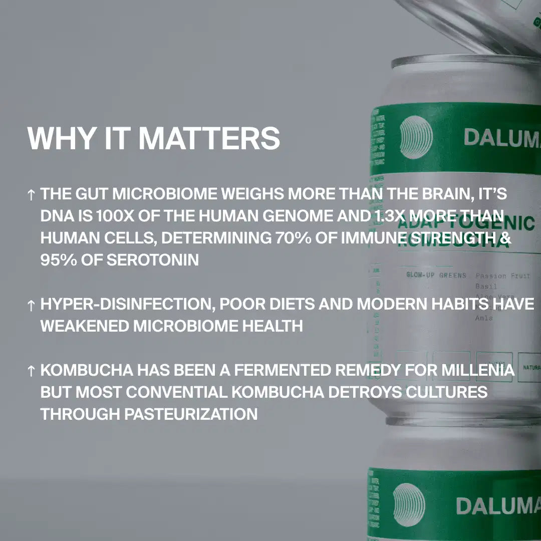 Der Text erscheint auf einem grauen Hintergrund mit DALUMA GLOW UP GREENS MARACUJA KOMBUCHA Dosen und hebt die Bedeutung des Darmmikrobioms für die Gesundheit des Verdauungssystems hervor, die Schädlichkeit moderner Gewohnheiten und den Hinweis, dass die Pasteurisierung die nützlichen Probiotika in Kombucha zerstört.