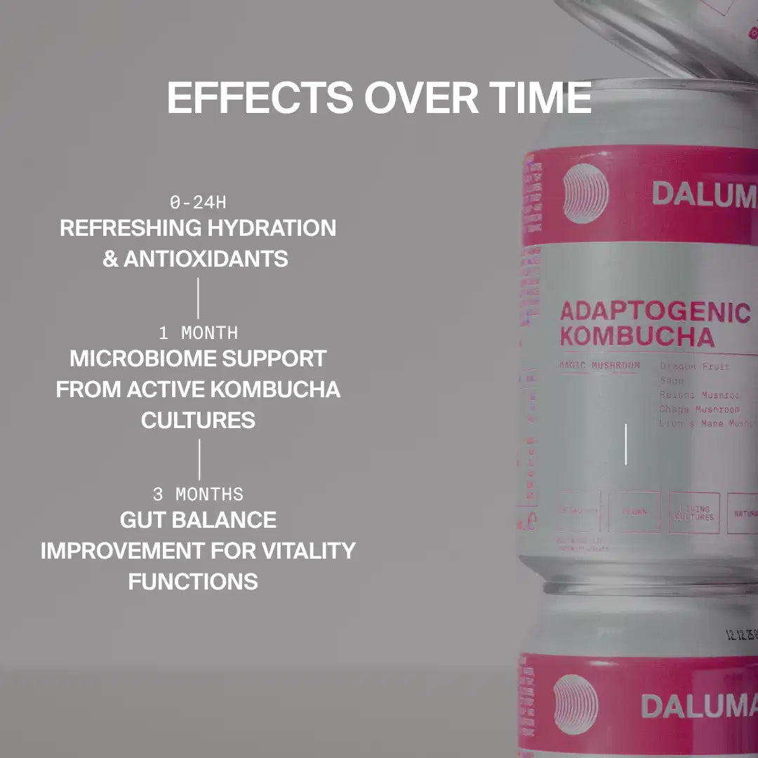 Rechts sind drei gestapelte Dosen DALUMA MAGIC MUSHROOM DRACHENFRUCHT KOMBUCHA zu sehen. Der Text hebt die Hydratation, die Antioxidantien, die Unterstützung des Mikrobioms und das Gleichgewicht des Darms hervor, das durch probiotische Kulturen und Adaptogene verbessert wird.