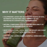 Eine Frau lächelt und hält eine Flasche DALUMA SUPERGREEN GREEN JUICE 6 PACK. Der Text erklärt, wie dieser kaltgepresste Saft die Nährstoffe und die Bioverfügbarkeit steigert, im Gegensatz zu konventionellen oder nicht-biologischen Säften mit weniger Vorteilen.